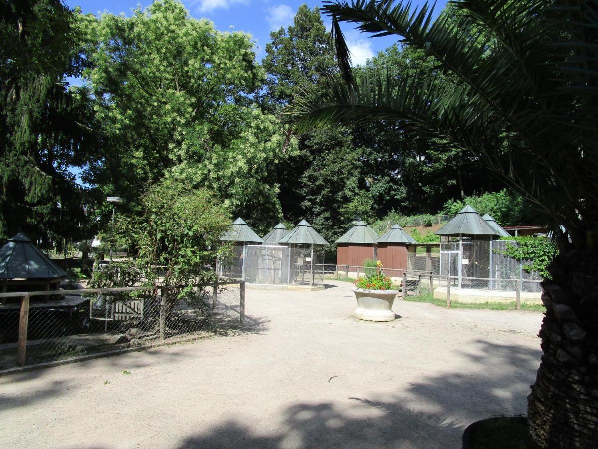 Villa Am Rosenfelspark Лёррах Экстерьер фото